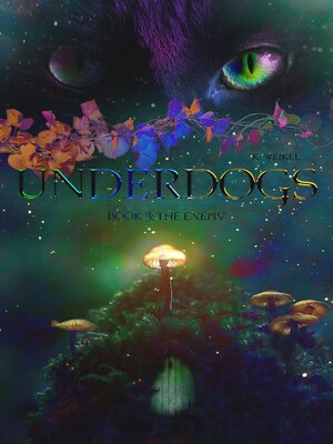 cover image of The Enemy